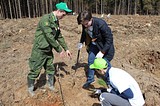 Акция «Лес Победы» — 2017