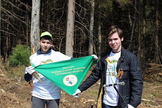 Акция «Лес Победы» — 2017