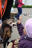 Фестиваль «В будущее без границ» — 2017, фото Александра Караваева
