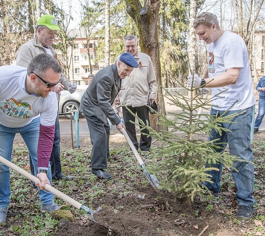Акция «Лес Победы»