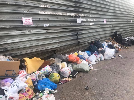 Экологический рейд «Чистое Подмосковье», Экологические рейды