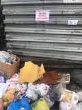 Экологический рейд «Чистое Подмосковье»