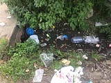 Экологический рейд «Чистое Подмосковье»