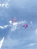 День Государственного флага в Одинцово