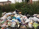 Рейд по выявлению незаконных свалок в Лесном городке