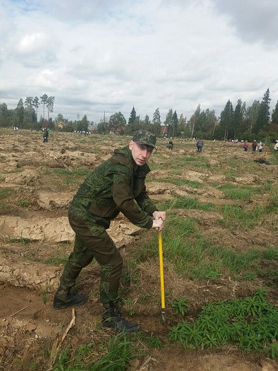 Сергей Сармин, Экологическая акция «Наш лес. Посади свое дерево»