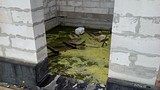 Спортивная площадка в восьмом микрорайоне