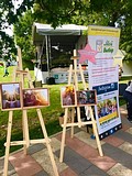 День города Одинцово