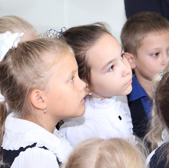 Выставка в Одинцовском историко-краеведческом музее, Комиссия по культуре