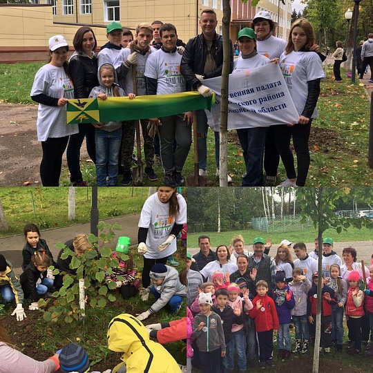 Акция «Наш лес. Посади свое дерево», Экологическая акция «Наш лес. Посади свое дерево»