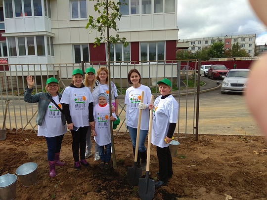 Акция «Наш лес. Посади свое дерево», Экологическая акция «Наш лес. Посади свое дерево»