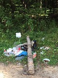 Субботник в Подушкинском лесопарке