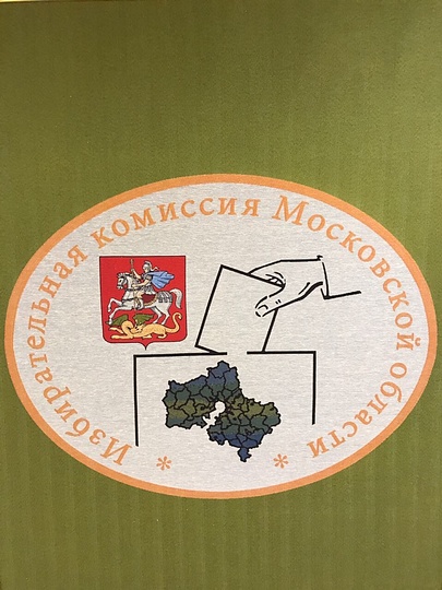 Школьный референдум, Комиссия по молодежной политике