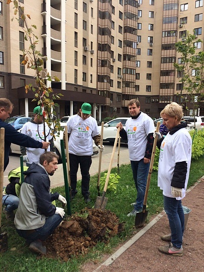 Акция «Наш лес. Посади свое дерево», Экологическая акция «Наш лес. Посади свое дерево»