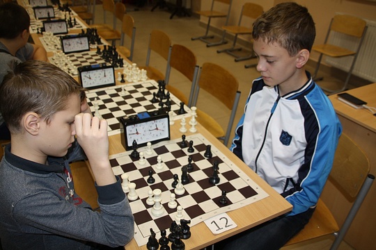 Шахматный турнир в Георгиевском соборе, Рабочая группа по развитию массового спорта и физкультуры