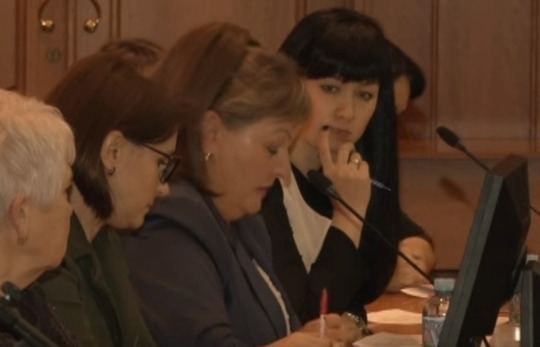 Круглый стол по освоению материнского капитала, Комиссия по здравоохранению, социальной политике и качеству жизни граждан