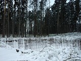 Общественники в сельском поселении Барвихинское