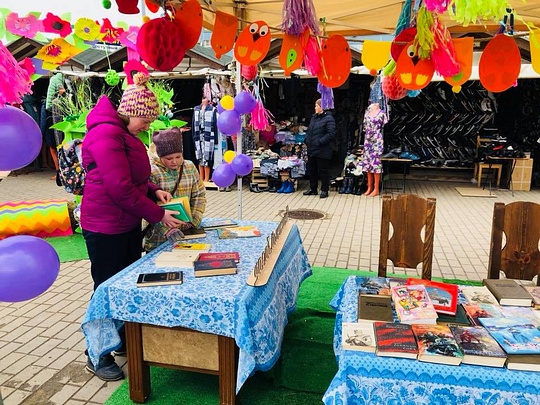 «Библиотека добра», Комиссия по информационной поддержке населения и освещения деятельности Общественной палаты