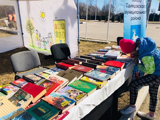 «Библиотека добра» в Кубинке, Комиссия по культуре