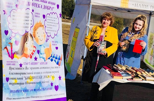 «Библиотека добра» в Кубинке, Комиссия по культуре