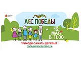 Акция «Лес Победы» 2018
