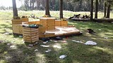 Субботник вдоль Ликинских прудов