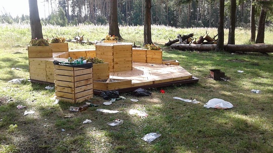 Субботник вдоль Ликинских прудов, Комиссия по физической культуре и спорту