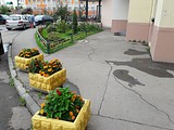 улица Чистяковой, дом 48