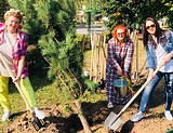 Акция «Наш лес. Посади свое дерево» в Одинцово