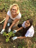Акция «Наш лес. Посади свое дерево» в Одинцово