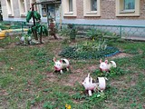 Одинцово, ул. Маршала Жукова, д. 16
