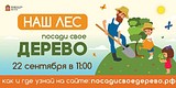 Экологическая акция «Наш лес. Посади свое дерево»