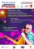 Фестиваль «Звездопад свершений»