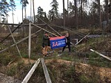 Общественная проверка в лесном массиве сельского поселения Барвихинское.