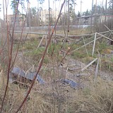 Общественная проверка в лесном массиве сельского поселения Барвихинское