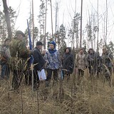 Общественная проверка в лесном массиве сельского поселения Барвихинское.