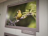 Фотовыставка «По заповедным тропам Северо — Запада»