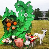 Дубоцвет