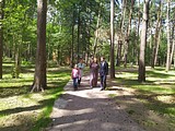 Мониторинг строящегося парка Раздолье