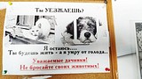 Мониторинг ветеринарной лечебницы в Звенигороде